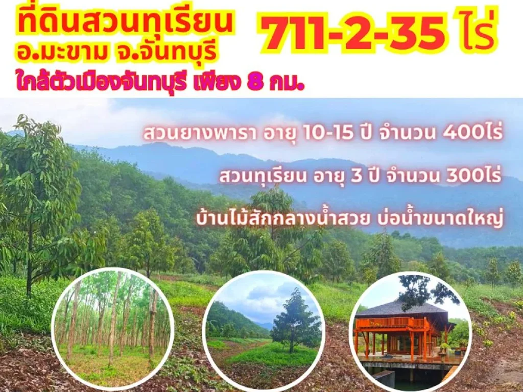 ขายที่สวนทุเรียน จันทบุรี 711-2-35ไร่ ติดเนินเขาสวย