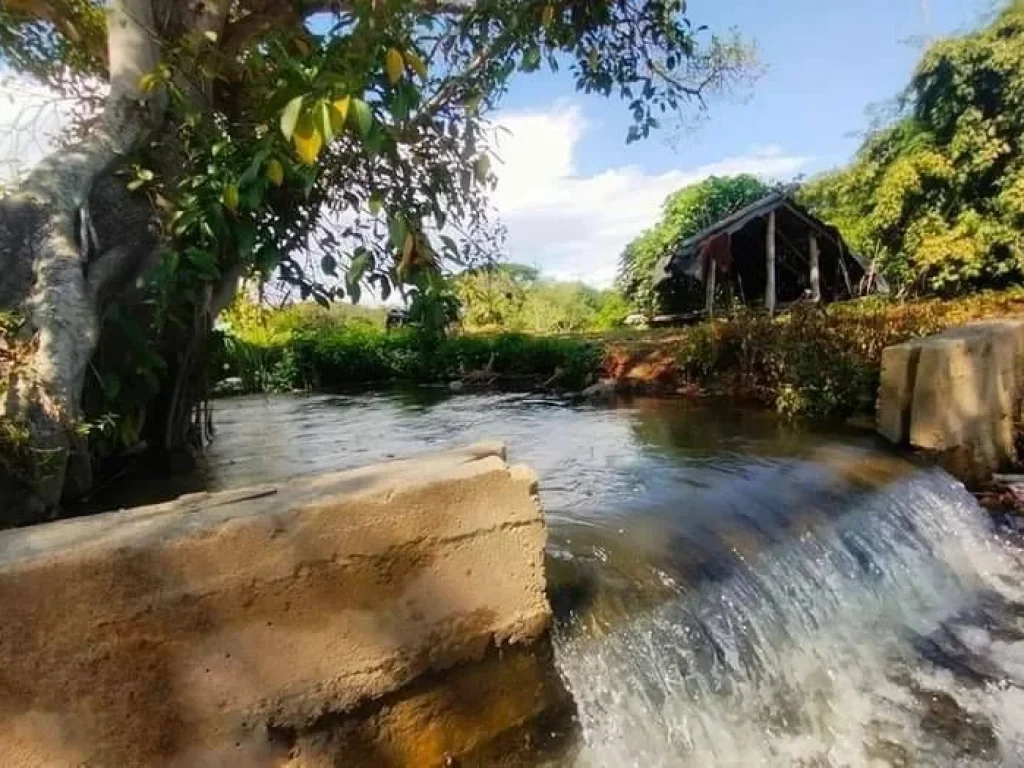 ขายที่ดินติดลำห้วยเชียงดาววิวสวยน้ำไฟถนนคอนกรีตพร้อมโอน