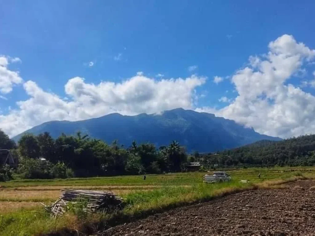 ขายที่ดินติดลำห้วยเชียงดาววิวสวยน้ำไฟถนนคอนกรีตพร้อมโอน