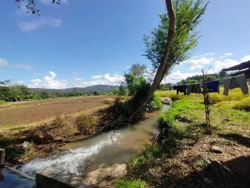 ขายที่ดินติดลำห้วยเชียงดาววิวสวยน้ำไฟถนนคอนกรีตพร้อมโอน