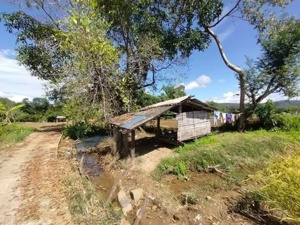 ขายที่ดินติดลำห้วยเชียงดาววิวสวยน้ำไฟถนนคอนกรีตพร้อมโอน