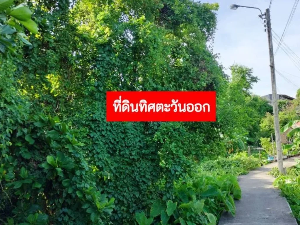 ขายที่ดิน ผังสีส้ม ย-5 พื้นที่ 5-1-5 ไร่ ประชาอุทิศ 69 แยก