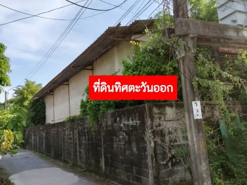 ขายที่ดิน ผังสีส้ม ย-5 พื้นที่ 5-1-5 ไร่ ประชาอุทิศ 69 แยก