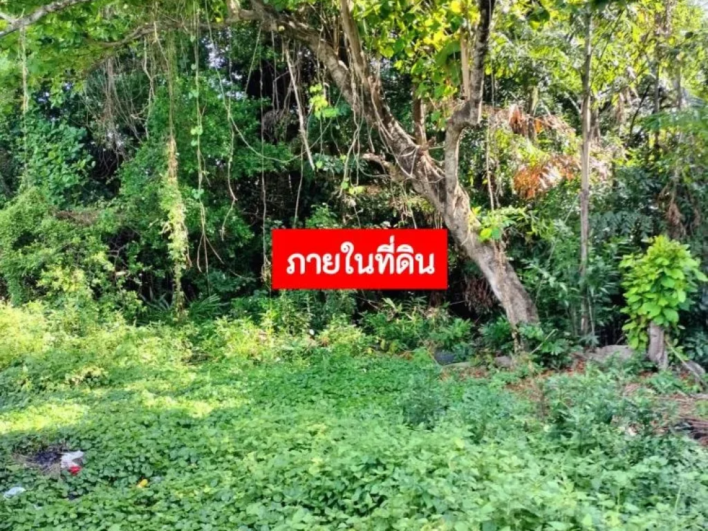 ขายที่ดิน ผังสีส้ม ย-5 พื้นที่ 5-1-5 ไร่ ประชาอุทิศ 69 แยก