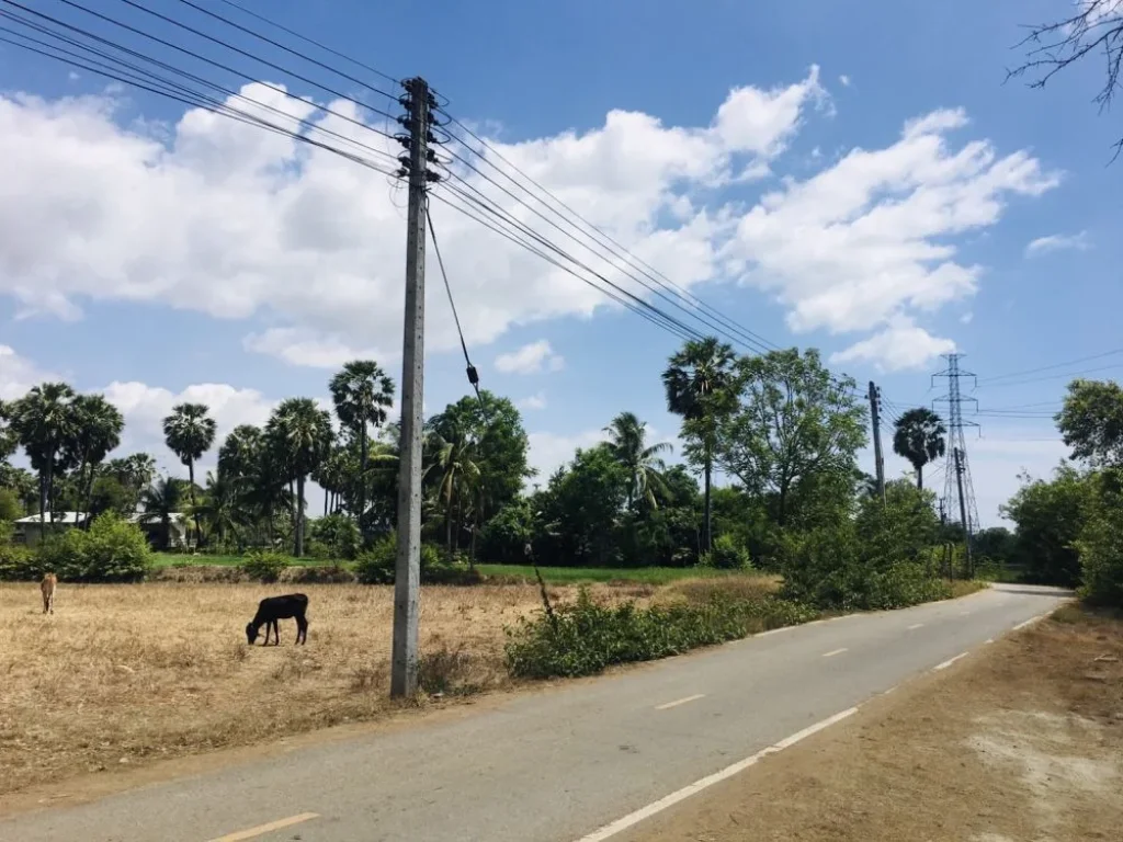 ที่ดินสวย 4ไร่1งาน วิวภูเขาทุ่งนาป่าตาล บรรยากาศดีอุดมสมบูรณ์