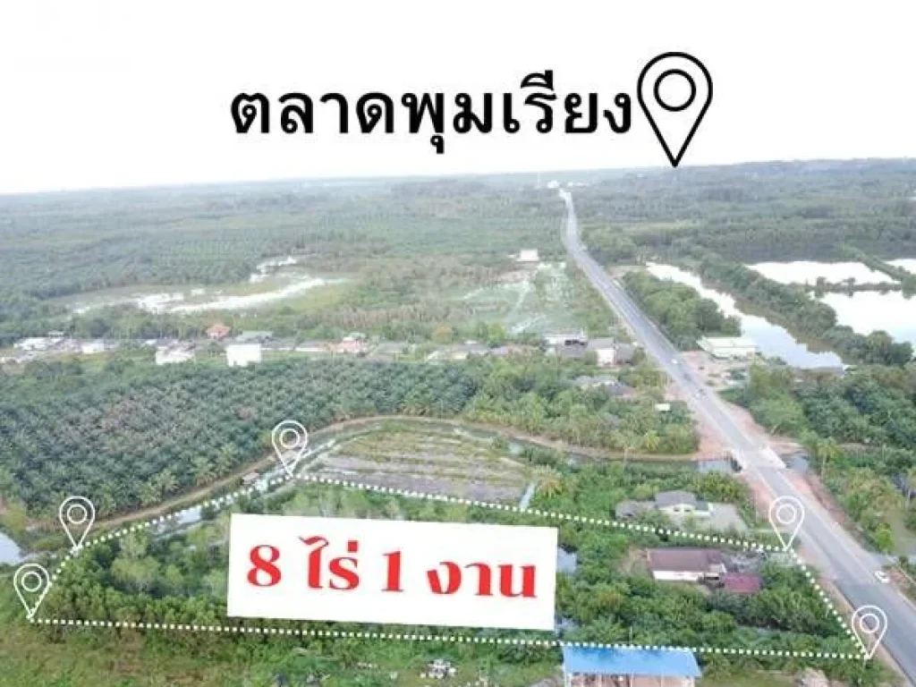 ขายที่ดินหน้าติดถนนหลังติดคลองอไชยา จสุราษฎร์ธานี