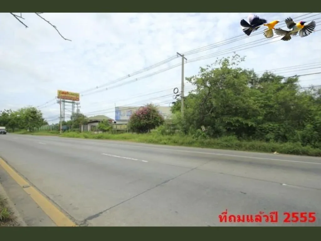 ที่ดินถมแล้ว 7-2-567 ไร่ ติดถนนทั้งหน้าและหลัง