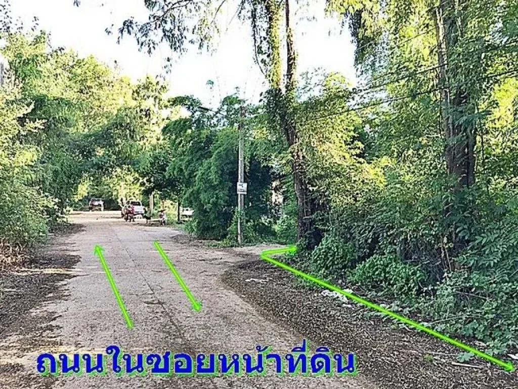 ขายที่ดินมุกดาหาร ติดแม่น้ำโขง ด่วน 85 ล้านจาก 15 ล้าน