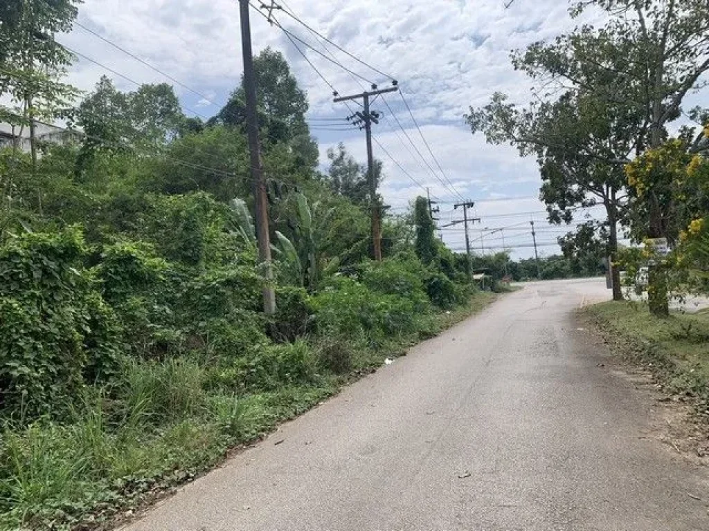 ขายที่ดินเปล่า พุนพิน สุราษฎร์ธานี ใกล้โรงพยาบาลพุนพิน