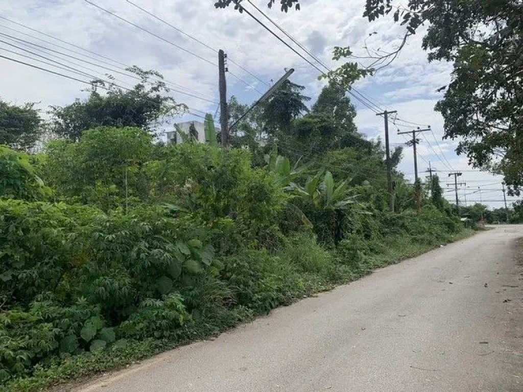 ขายที่ดินเปล่า พุนพิน สุราษฎร์ธานี ใกล้โรงพยาบาลพุนพิน