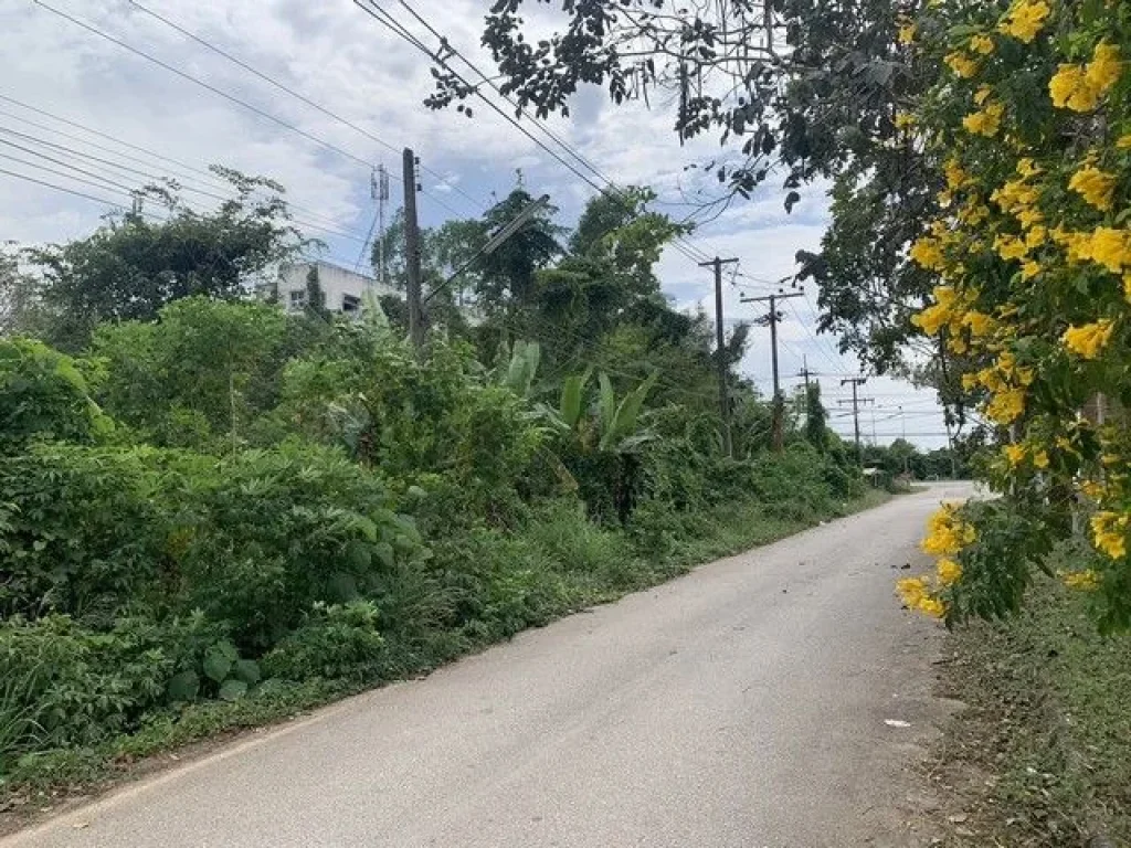 ขายที่ดินเปล่า พุนพิน สุราษฎร์ธานี ใกล้โรงพยาบาลพุนพิน