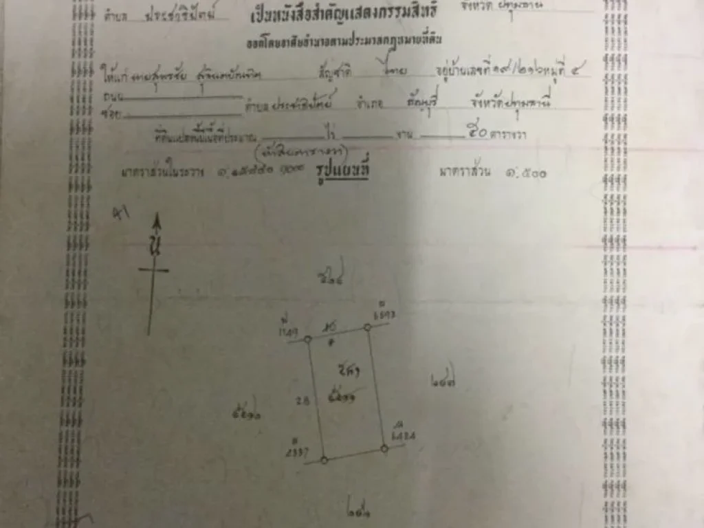 ขายที่ดิน ซอยรังสิต-นครนายก2 50 วา 45 แสน ที่ดินเปล่าราคาถูก