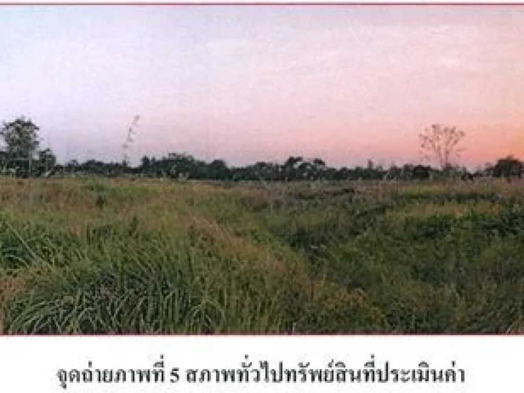 ขายที่ดินว่างเปล่า 1 ไร่กว่า อหนองเรือ จขอนแก่น อยู่ใกล้