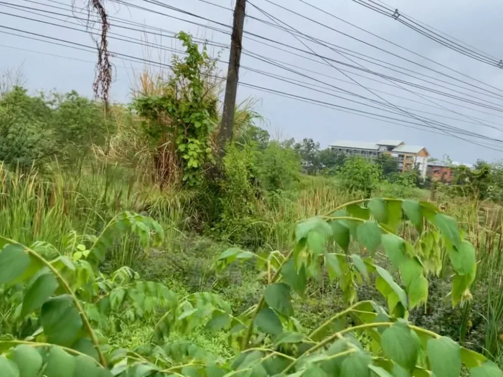 ขาย ที่ดินทำเลทอง ในย่าน ผ้าคนดุ้นผ่านผุ้คนหนาแน่น