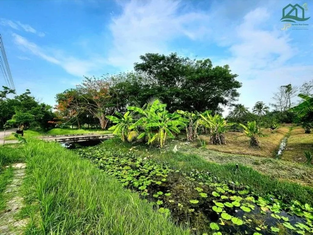 ขายที่ดินในโครงการบ้านสวนขวัญ นครชัยศรี นครปฐม เหมาะ