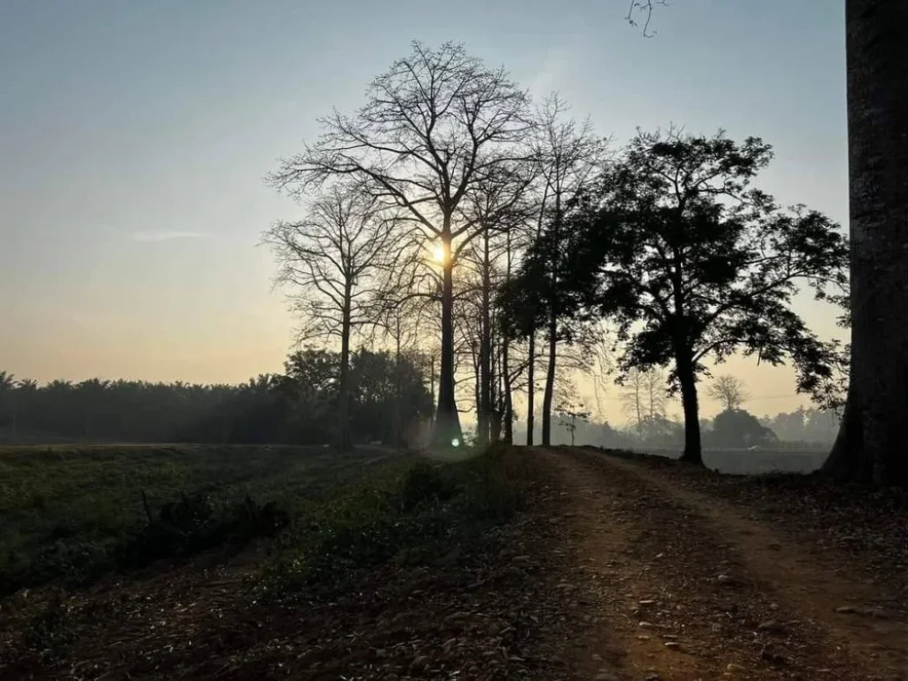 ริมน้ำสะพานหินดาด อำเภอทองผาภูมิ ถูกตำราฮวงจุ้ย หน้าติดน้ำ