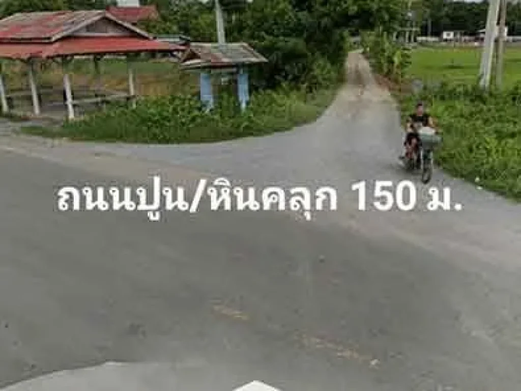 ขายที่ดินริมแม่น้ำท่าจีน ตำบลตะค่า อำเภอบางปลาม้า สุพรรณบุรี