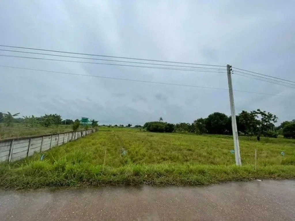 ขายด่วน ที่ดินแปลงสวย 2 ไร่ ใกล้แม่น้ำโขง โพนพิสัย