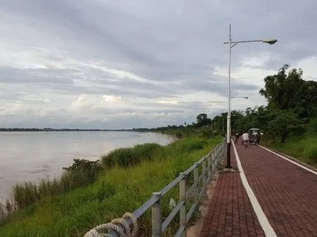 ขายด่วน ที่ดินแปลงสวย 2 ไร่ ใกล้แม่น้ำโขง โพนพิสัย