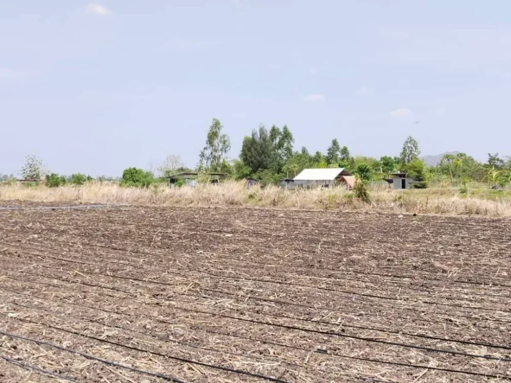 ขายที่ดินบ้านหมี่ 2 ไร่ น้ำไฟครบ ที่สูงไม่ต้องถม