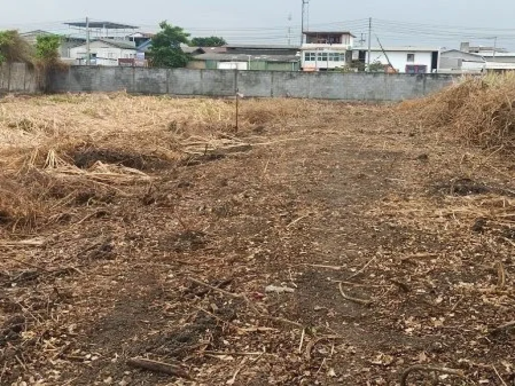 ที่ดินแบ่งขาย พระราม2 ถนนธนบุรี-ปากท่อ บางกระดี่ บางขุนเทียน