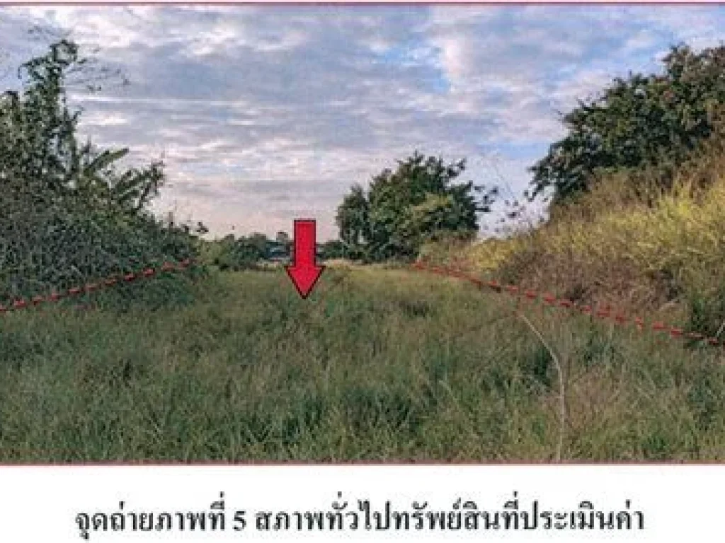 ขายที่ดินว่างเปล่า 200 ตรว ติดถนนชนสุภาพ ตหนองเรือ