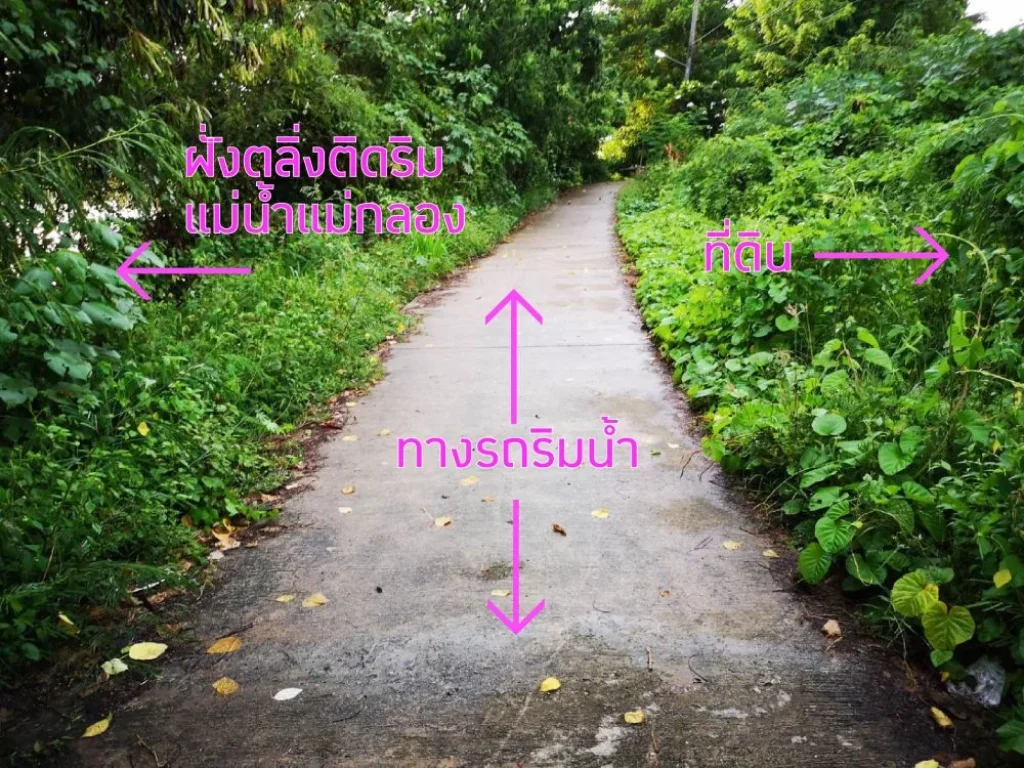 ขายที่ดินสวยริมน้ำแม่กลอง ใกล้ตัวเมืองราชบุรี