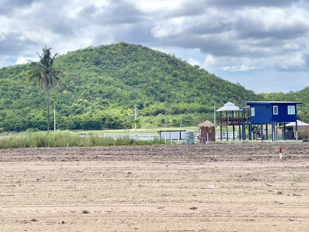 ขายที่ดิน พุหวายวิว เริ่ม 200 ตรว ใกล้น้ำ ใกล้เขา เขตชะอำ