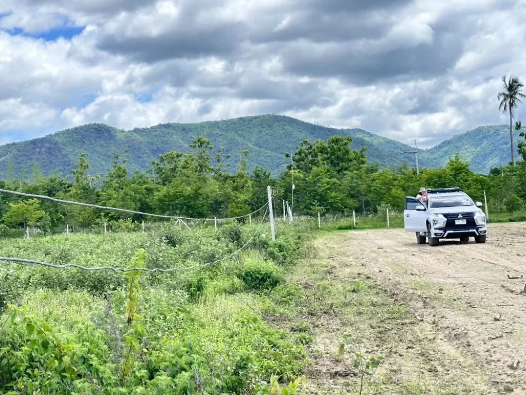 ขายที่ดิน พุหวายวิว เริ่ม 200 ตรว ใกล้น้ำ ใกล้เขา เขตชะอำ