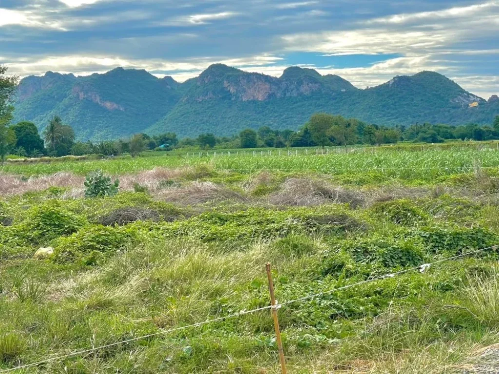 ขายที่ดิน พุหวายวิว เริ่ม 200 ตรว ใกล้น้ำ ใกล้เขา เขตชะอำ