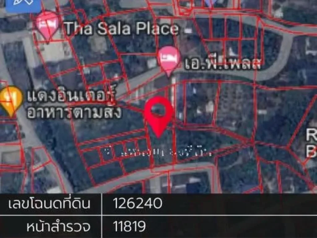 ขายที่ดินอำเภอเมืองเชียงใหม่ เนื้อที่ 256 ตารางวา ที่ถมแล้ว