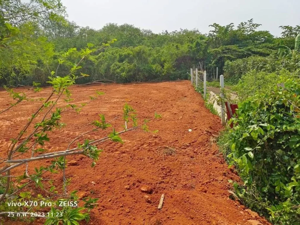 ขายที่ดินพลูตาหลวง 120 ตรว ถมแล้วติดถลาดยาง ใกล้วิวเขา