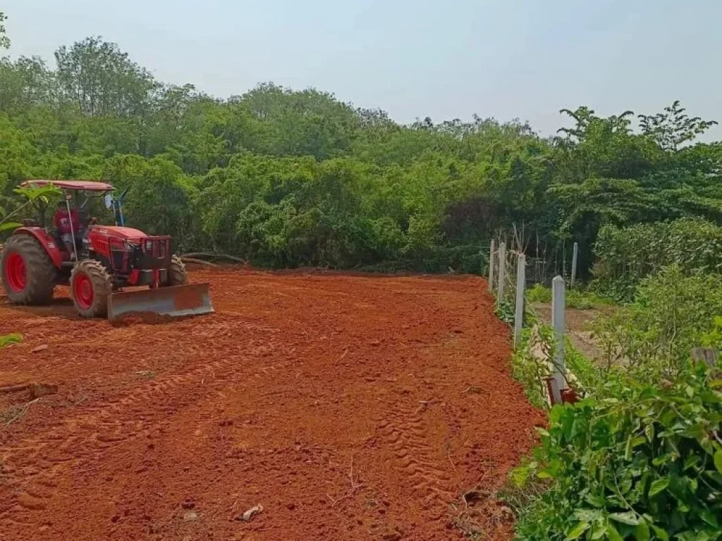 ขายที่ดินพลูตาหลวง 120 ตรว ถมแล้วติดถลาดยาง ใกล้วิวเขา