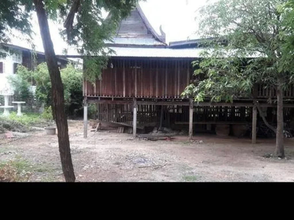 ขายที่ดิน เนื้อที่ 320 ตรว ตท่าพี่เลี้ยง อเมือง