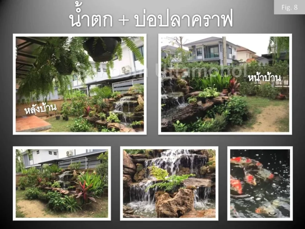 ลดอีก ขายบ้านเดี่ยว 212 ตรม เพชรเกษม 81 