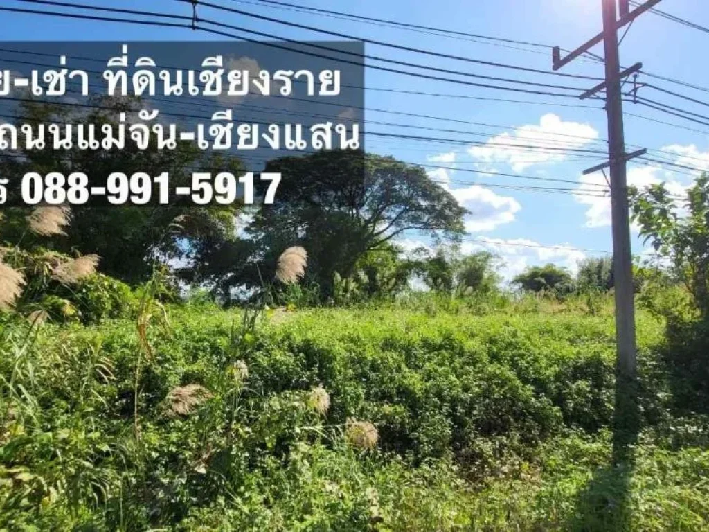 ขาย - เช่า ที่ดิน ใกล้แหล่งชุมชน บ้านบ่อก้าง อแม่จัน