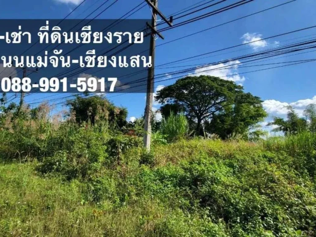 ขาย - เช่า ที่ดิน ใกล้แหล่งชุมชน บ้านบ่อก้าง อแม่จัน