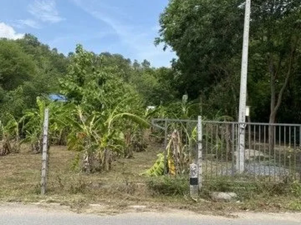 ขายบ้านสวนทุเรียนด้านติดถนนด้านหลังติดเขาน้ำไฟพร้อมอยู่ในแหล