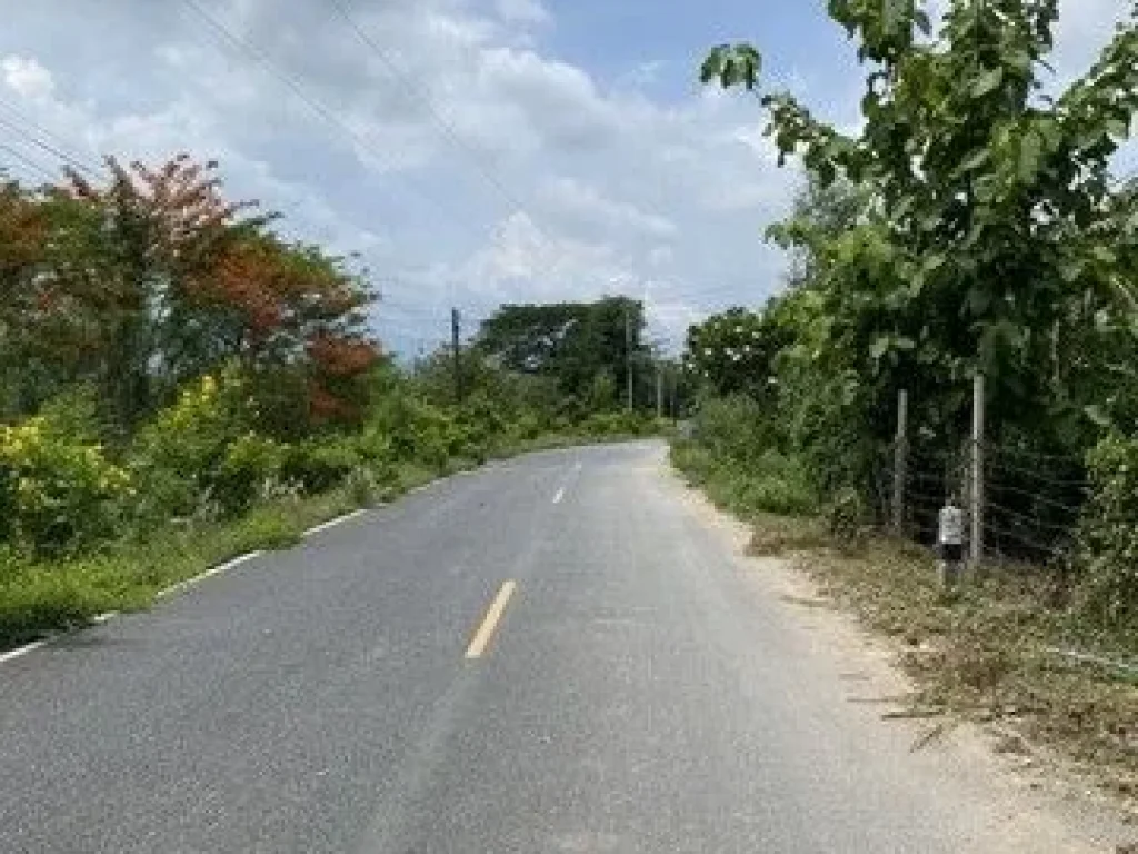 ขายบ้านสวนทุเรียนด้านติดถนนด้านหลังติดเขาน้ำไฟพร้อมอยู่ในแหล