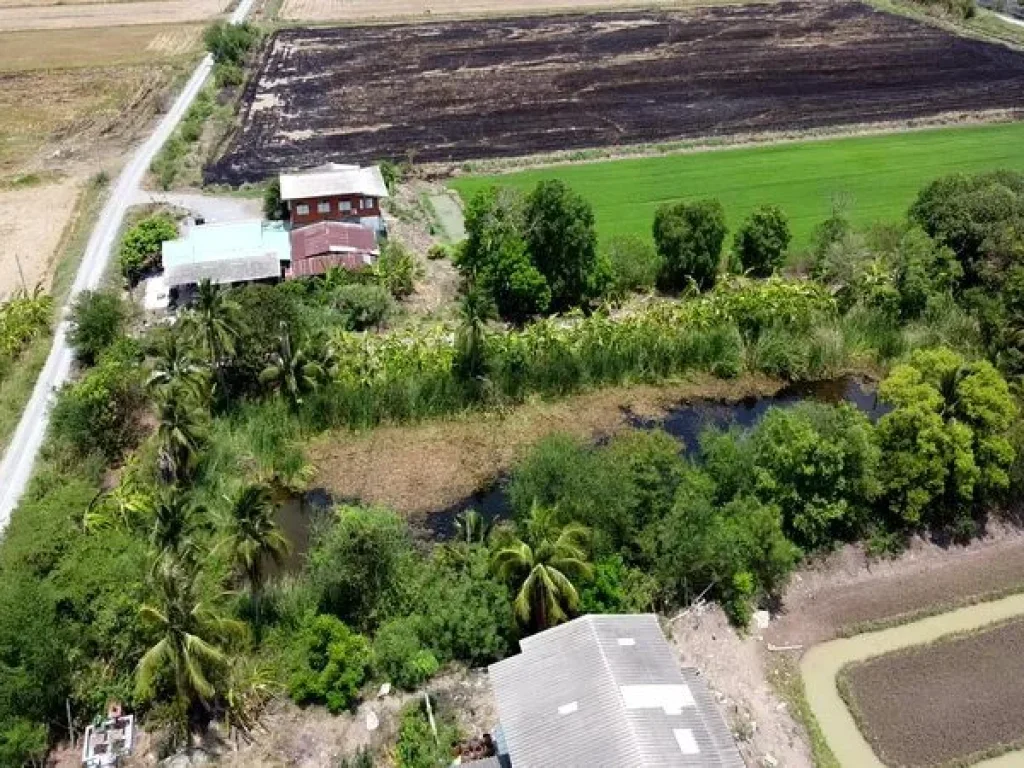 ขายบ้านพักตากอากาศ อยุธยา ถนน4009 ตำบลสิงหนาท อำเภอลาดบัวหลวง