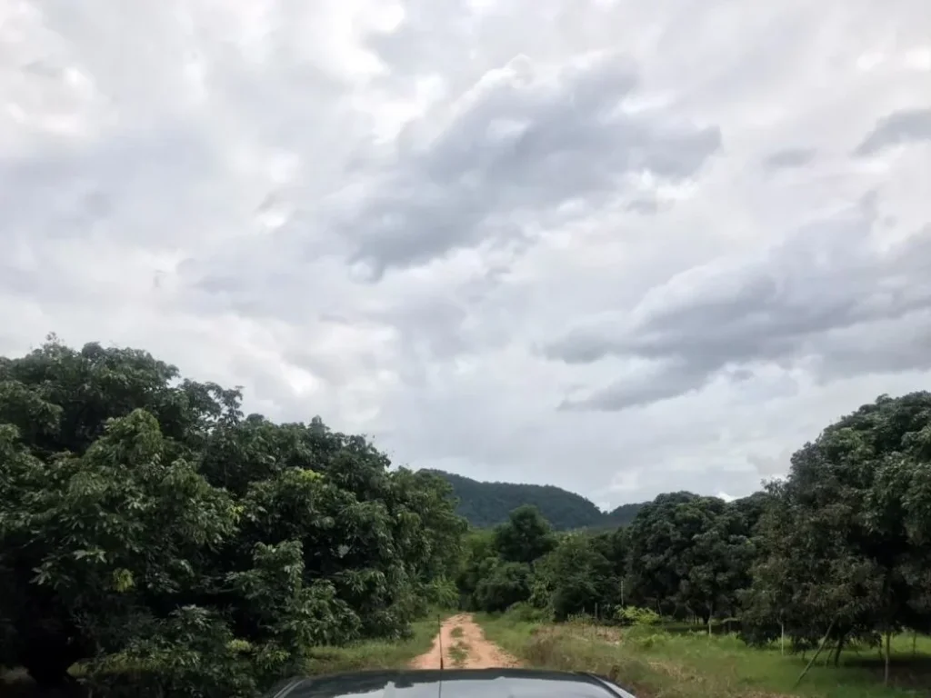 ที่ดินสวนลำใยพร้าว ทำเลดี วิวภูเขา ใกล้เขื่อนแม่งัด