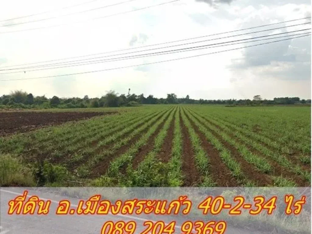 ขายที่ดินราคาถูก ติดถนน หน้าที่ดินกว้างประมาณ 300 เมตร