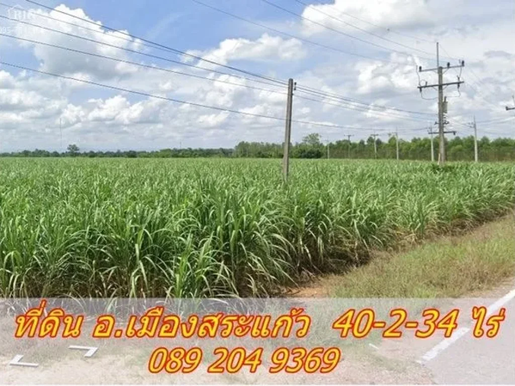 ขายที่ดินราคาถูก ติดถนน หน้าที่ดินกว้างประมาณ 300 เมตร