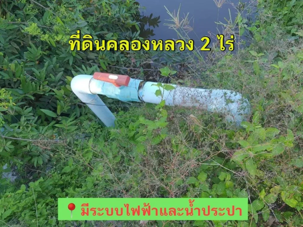 ขายถูกที่สุด ที่ดินคลองหลวง 2 ไร่ ติดถนนลาดยางสาธารณะ