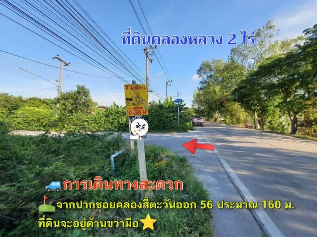 ขายถูกที่สุด ที่ดินคลองหลวง 2 ไร่ ติดถนนลาดยางสาธารณะ