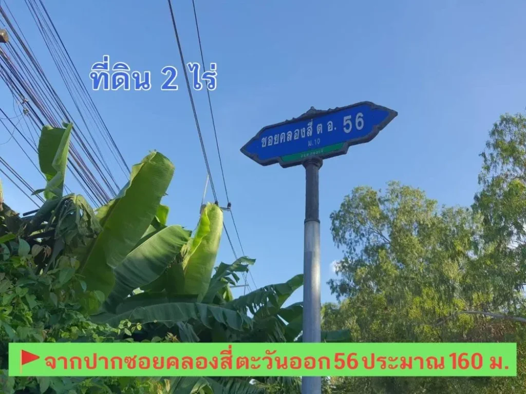 ขายถูกที่สุด ที่ดินคลองหลวง 2 ไร่ ติดถนนลาดยางสาธารณะ