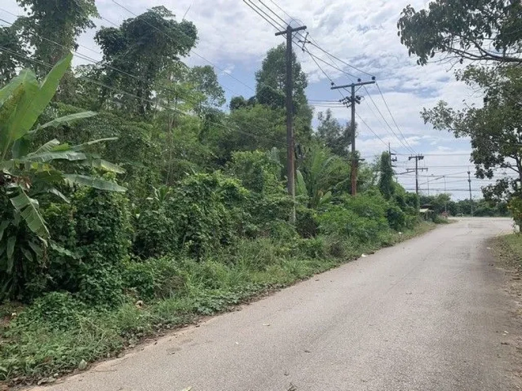 ขายที่ดินเปล่า พุนพิน สุราษฎร์ธานี ใกล้เซ็นทรัล รพ พุนพิน