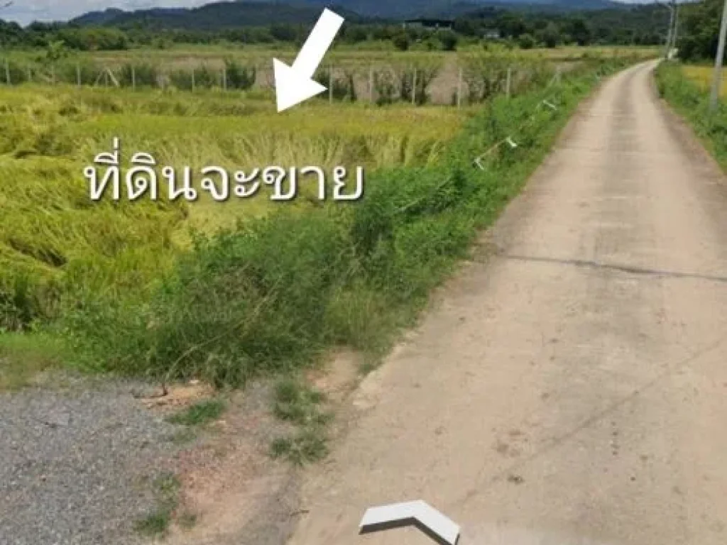 ขายที่ดิน321 ตรวตสาริกาอเมืองนครนายกใกล้โรงเกลือสวนน้ำมี