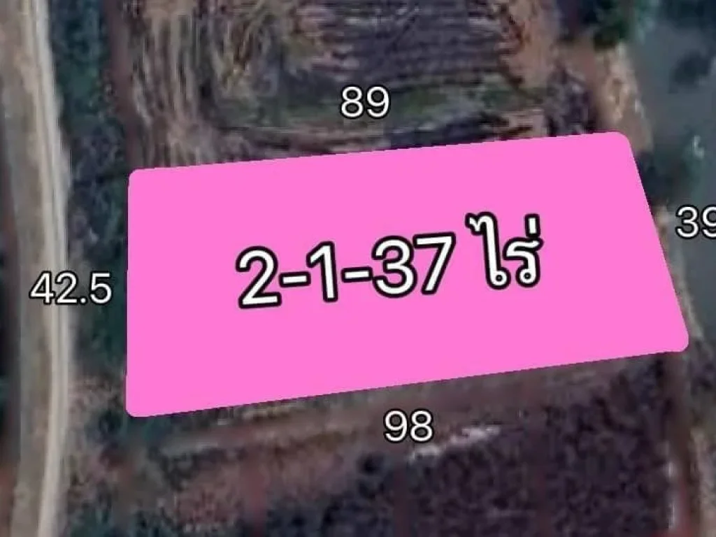 ขายที่ดิน ผังชมพู 2-1-37 ไร่ อบางไทร จพระนครศรีอยุธยา