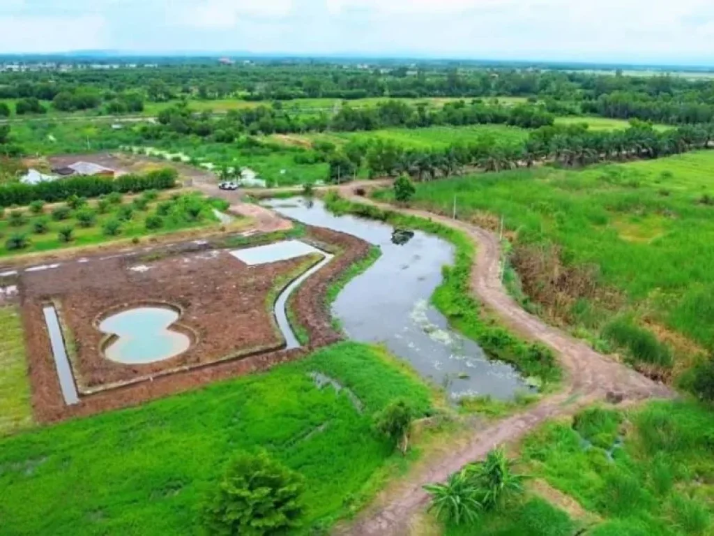 ขายที่ดิน คลอง14 เงินผ่อน เริ่ม 200 ตรว หนองเสือ ปทุมธานี